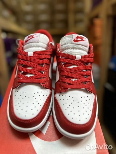 Nike Dunk SP 