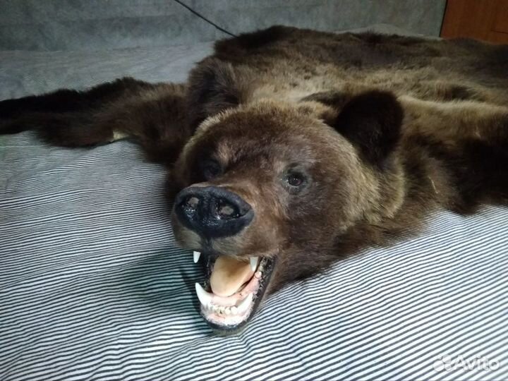 Шкура медведя (имитация)