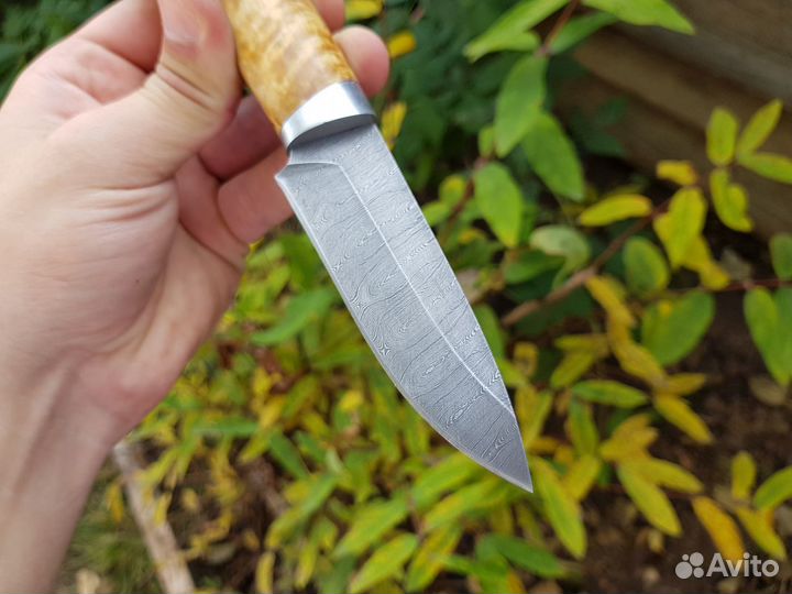 Охотничий нож Соболь (сталь дамаск рукоять карелка
