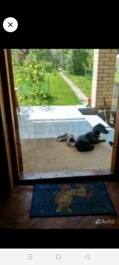 Дом 140 м² на участке 7 сот.