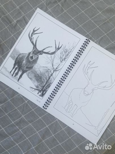 Обчающая книга по рисованию