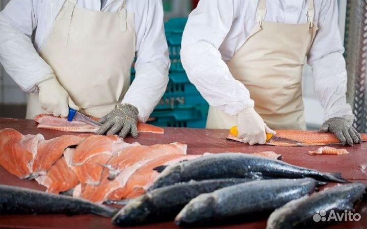 Разнорабочий на производство в г. Вязьма, Вахта