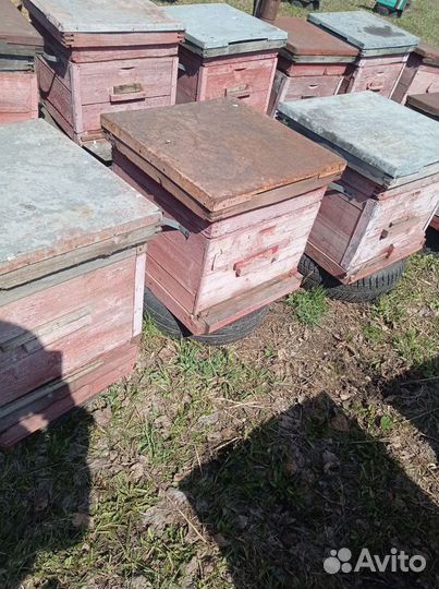 Улья Дадан 12 рамок. Стандартные. Б/У