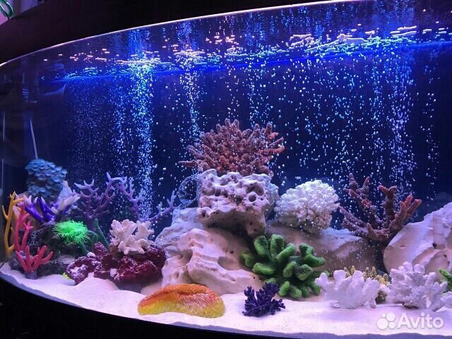 Чистка аквариума,комплексное выездное обслуживание