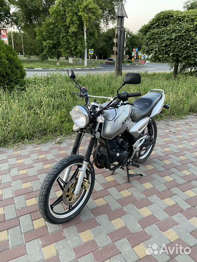 Stels delta 200