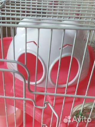 Клетка для грызунов