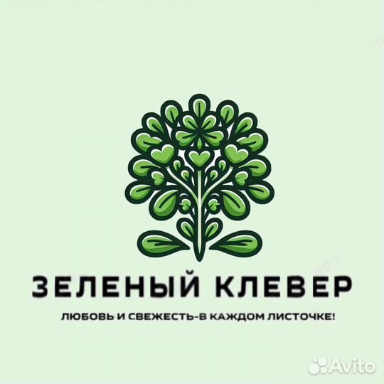 Микрозелень