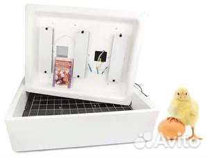 Инкубатор несушка