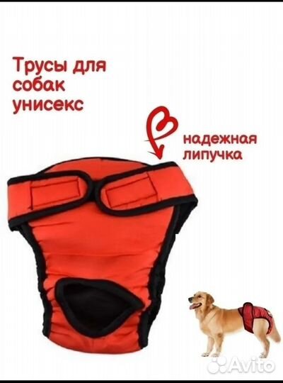 Трусики для собак