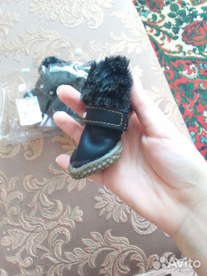 Обувь для маленьких собак
