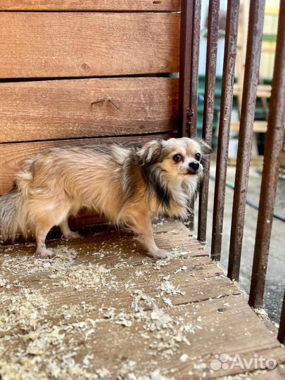 Малыша сдали в приют