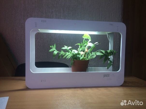 Подставка-светильник для растений