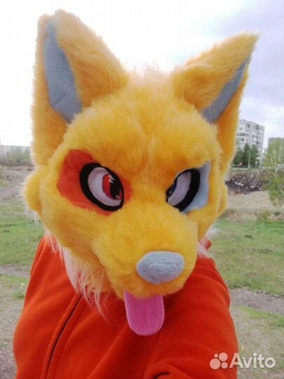 Фурсьют,фурри на зака