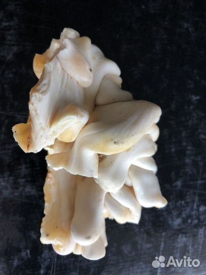 Искусственный камень для диорам, декор коралл и тд