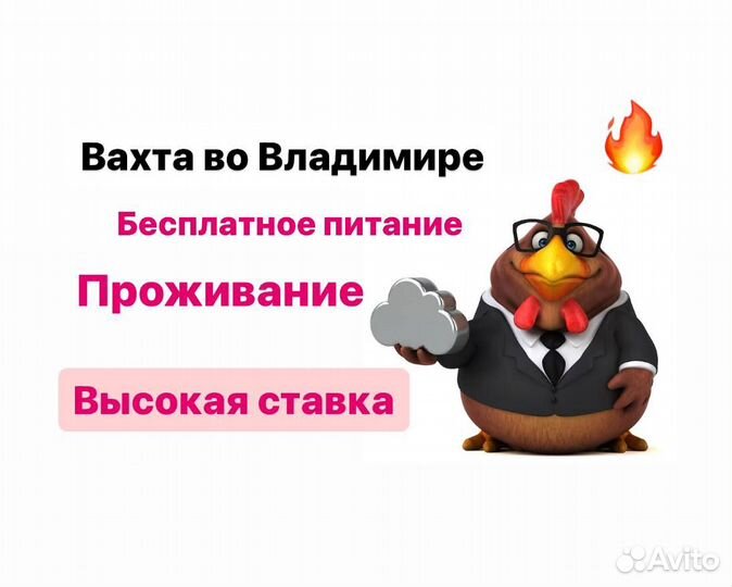 Разнорабочие вахтой.Оплата проезда