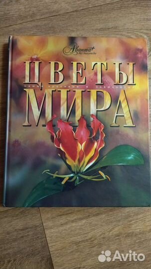 Энциклопедия