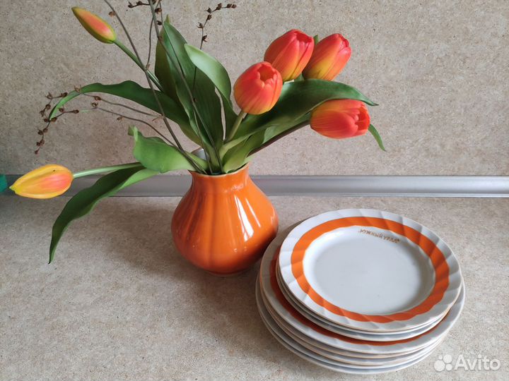 Тарелки Южный Урал