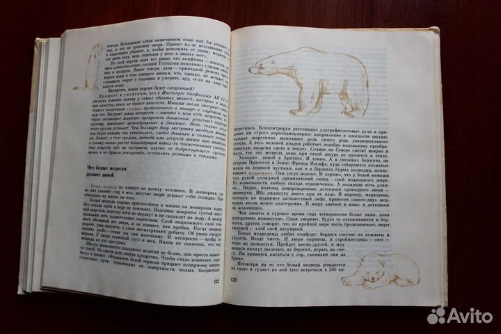 Зачем барану рога, а воробью розовые очки 1991г