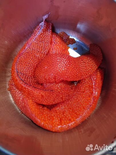 Форель охлажденная из Карелии