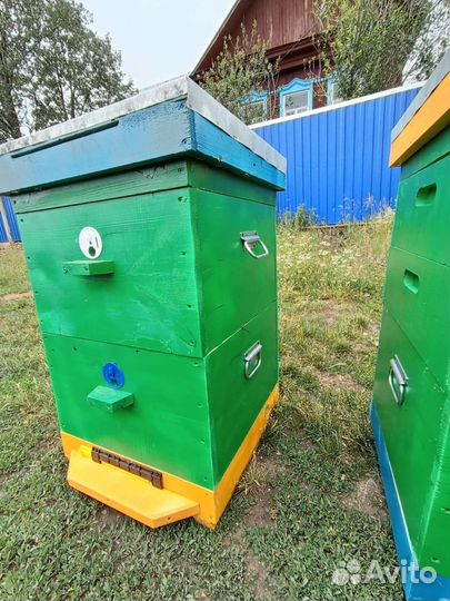 Улей дадан 12