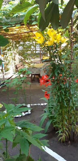 Комната 30 м², 1/1 эт.