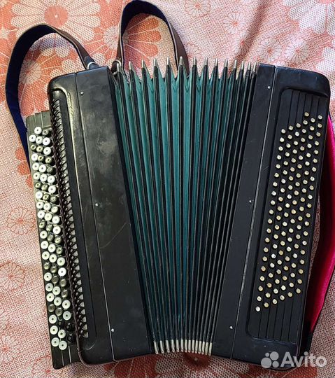 Баян ясная поляна