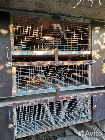 Клетки для кроликов бу