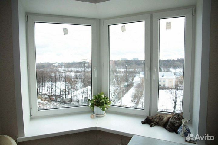 Окна с москитной сеткой