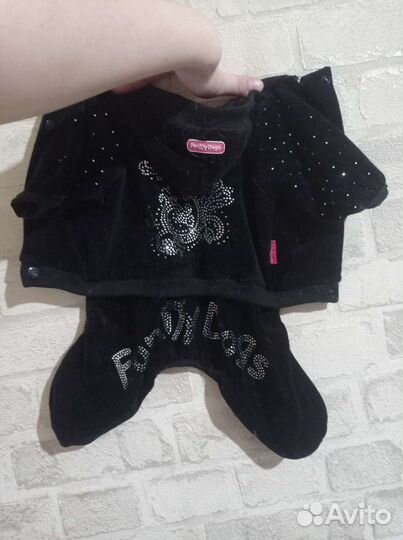 Одежда для собак