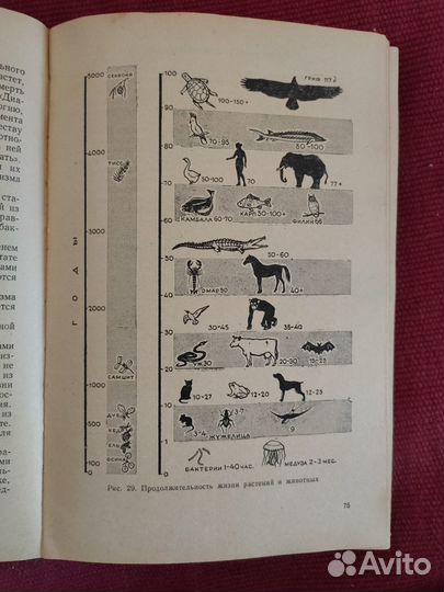Общая биология. Пособие для учителя