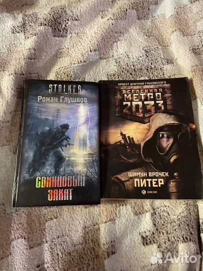 Книга метро 2033,stalker