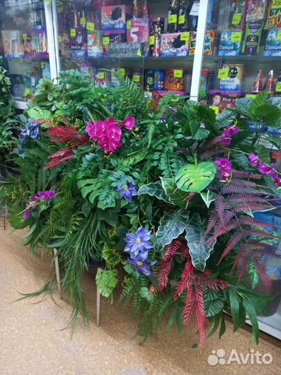 Вертикальное озеленение