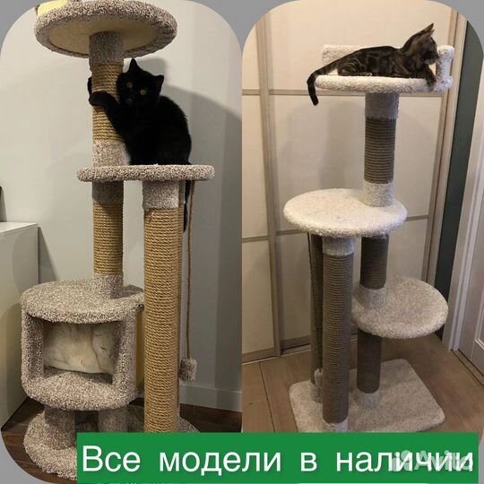 Когтеточка
