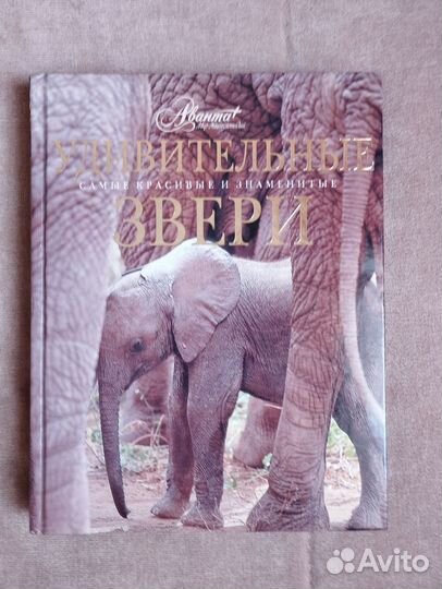 Книга о животных