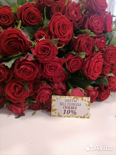 Букет из 25,51,101розы.Купить Букет с доставкой