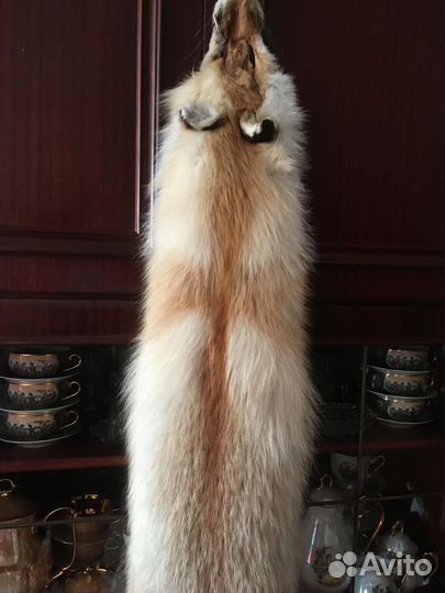 Шкурка лисы