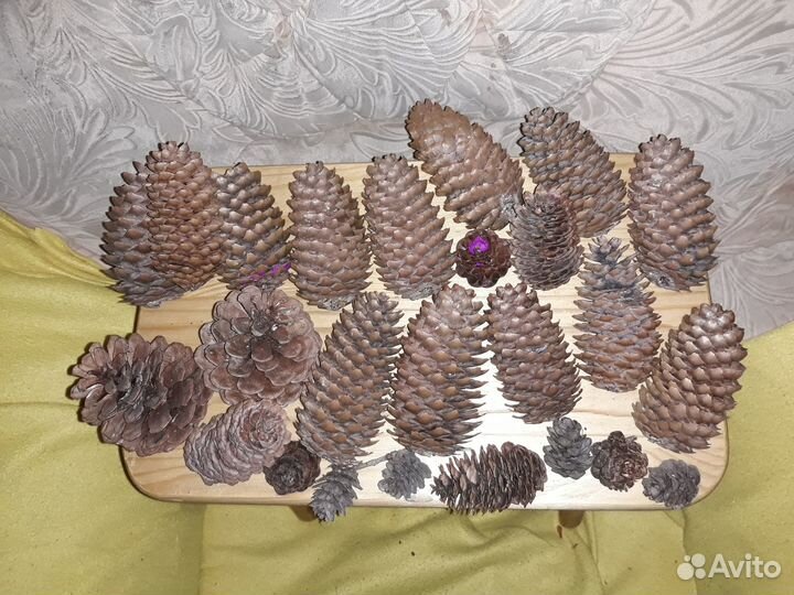 Природные материалы/шишки и др