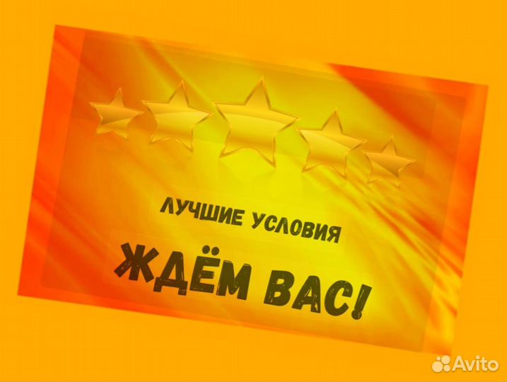 Наборщик заказов Без опыта Еженедельные выплаты