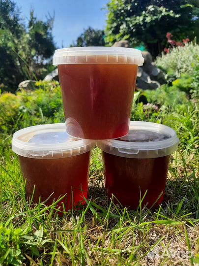 Натуральный Мёд 2023года