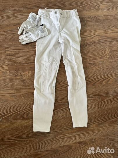 Бриджи для конного спорта