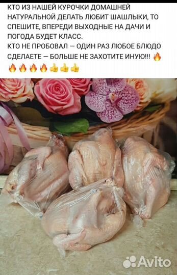 Мясо перепелов очень вкусное, лучшее