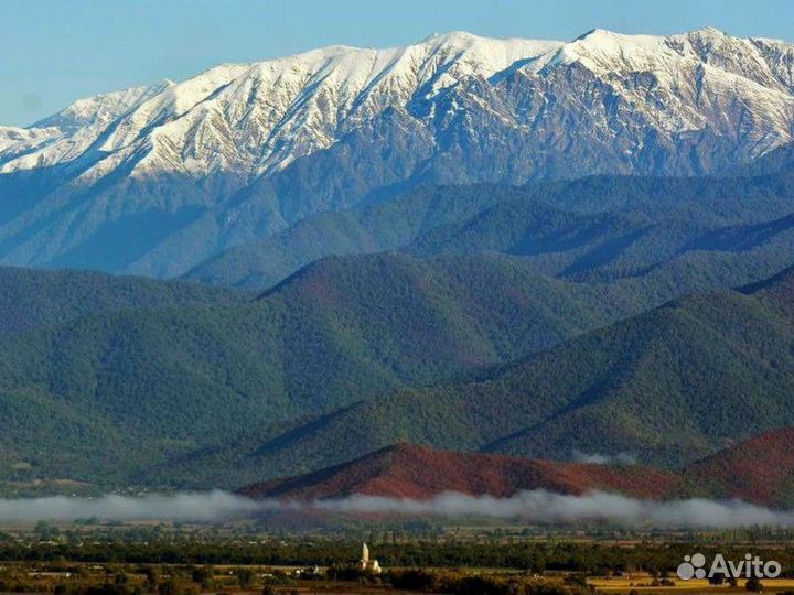 Экскурсия — Тбилиси — По Кахетии с кахетинцем