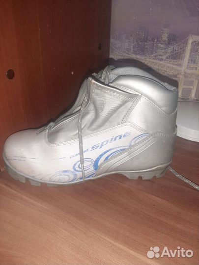 Лыжные ботинки