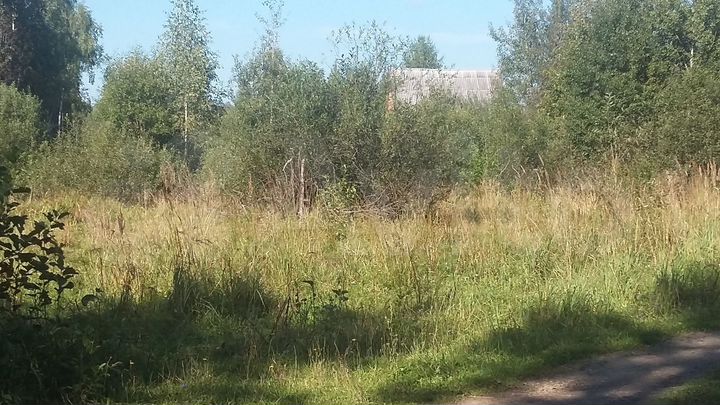 Участок 6 сот. (ИЖС)