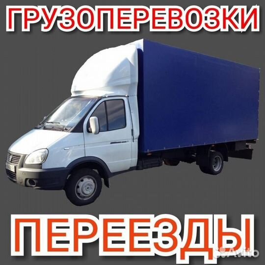 Из Коряжмы по России межгород