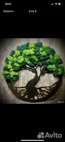 Панно из стабилизированных растений