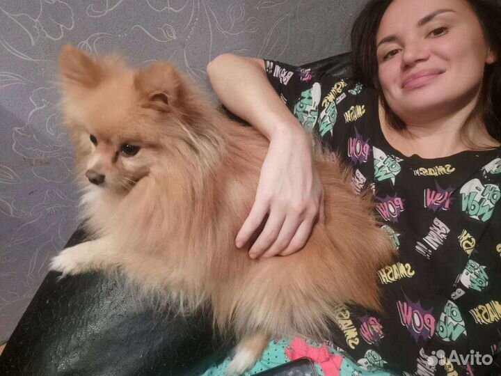 Передержка для собаки,кошки,других животных