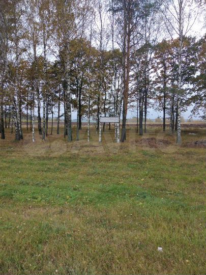 Участок 1,62 га (ИЖС)