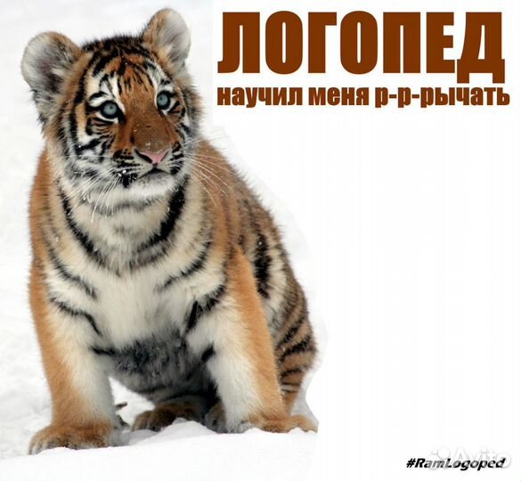 Логопеды и дефектологи