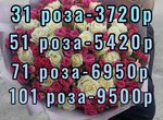 Розы Цветы Пионы Букеты Доставка Сочи 101 роза 51